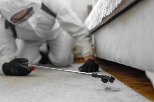 Professional Termite Control technician working in Sawyerwood, OH