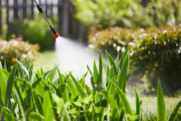 24/7 Emergency Termite Control experts in Sawyerwood, OH