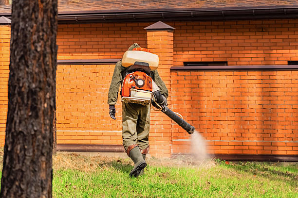 Trusted Cockroach Control service in Sawyerwood, OH - Nex Pest Control